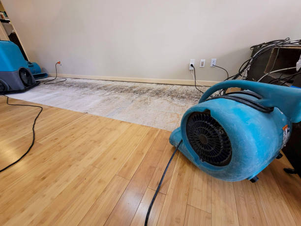 Professional Water Damage Repair technician working in Cooksville, MD
